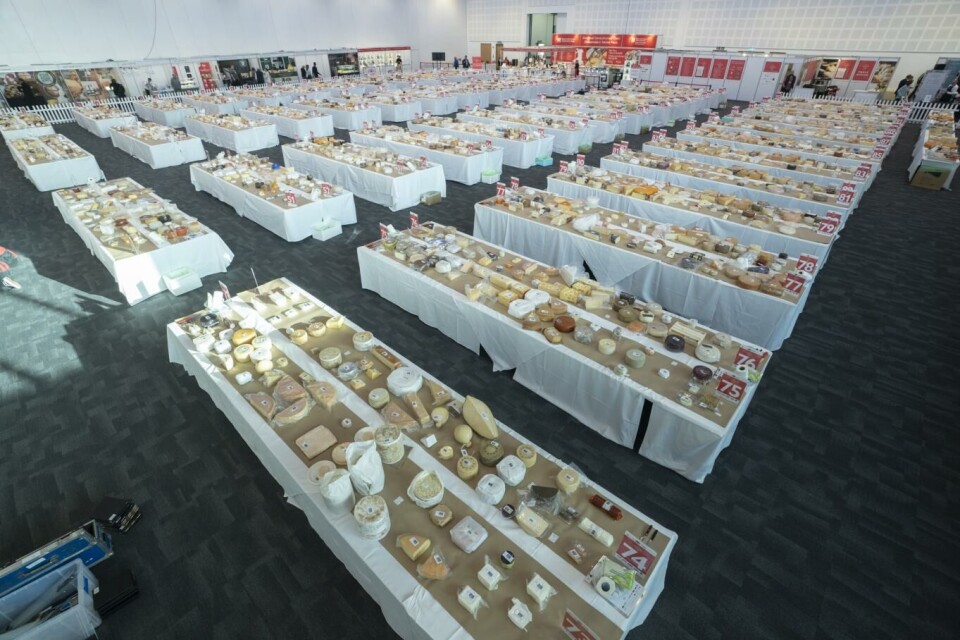 Neste år samles verdens beste oster i Trondheim. Foto: Guild of Fine Food