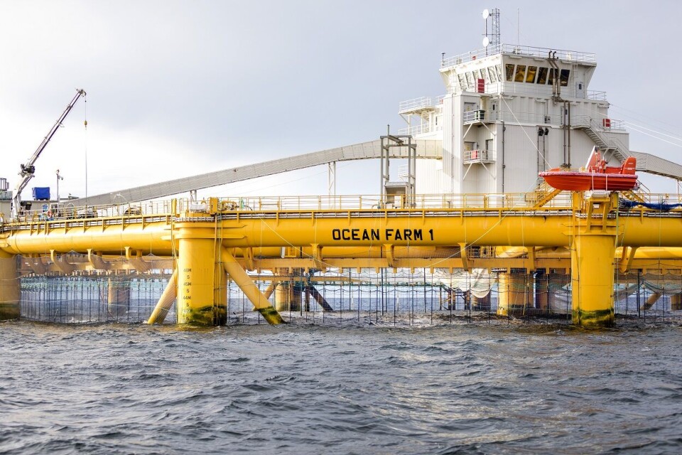 Havbruk til havs vil bygge på norsk spisskompetanse fra maritim industri, offshore olje og gass og tradisjonelt havbruk og ventes å føre til en ny verdensledende leverandørnæring. Bildet er fra Salmars Ocean Farm 1 til Salmar, i Frohavet utenfor Trøndelagskysten. Foto: Gorm Kallestad / NTB