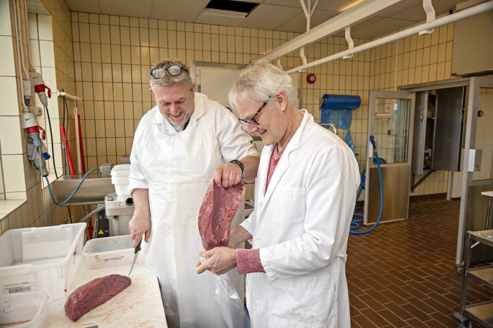 Nofima-fagfolkene Tom Johannessen og Rune Rødbøtten fordeler kjøttet før det sendes til kjøkkenet for tilberedning og smaking.