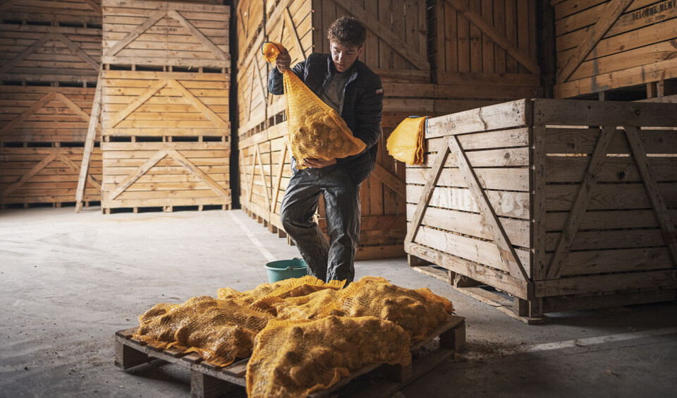 Undersøkelsen fra Yara viser at 34 prosent av nordmenn anser klimaavtrykket som viktig når de handler mat og drikke. Illustrasjonsfoto: Yara