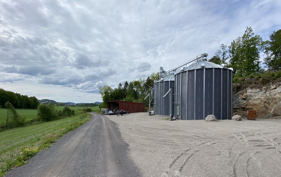 Korntørke lagt på sprengt fjell. Foto: Amund Kind / Vestfold og Telemark Bondelag