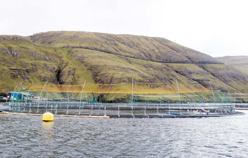 Sjømat Norge har tatt med seg et knippe politikere til Færøyene for å se nærmere på hvordan lakseoppdrettere skattlegges der. Foto: Terje Pedersen | NTB