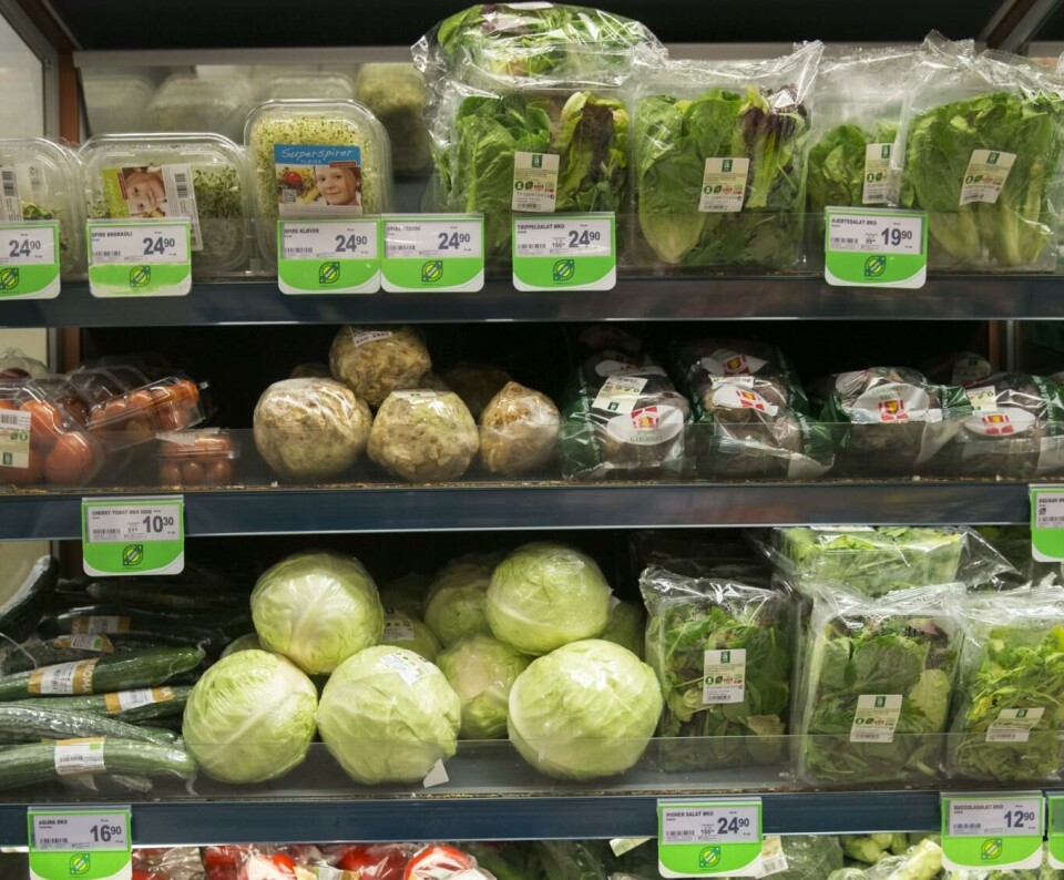 Mattilsynet advarer mot å plante butikk-grønnsaker i hagen.