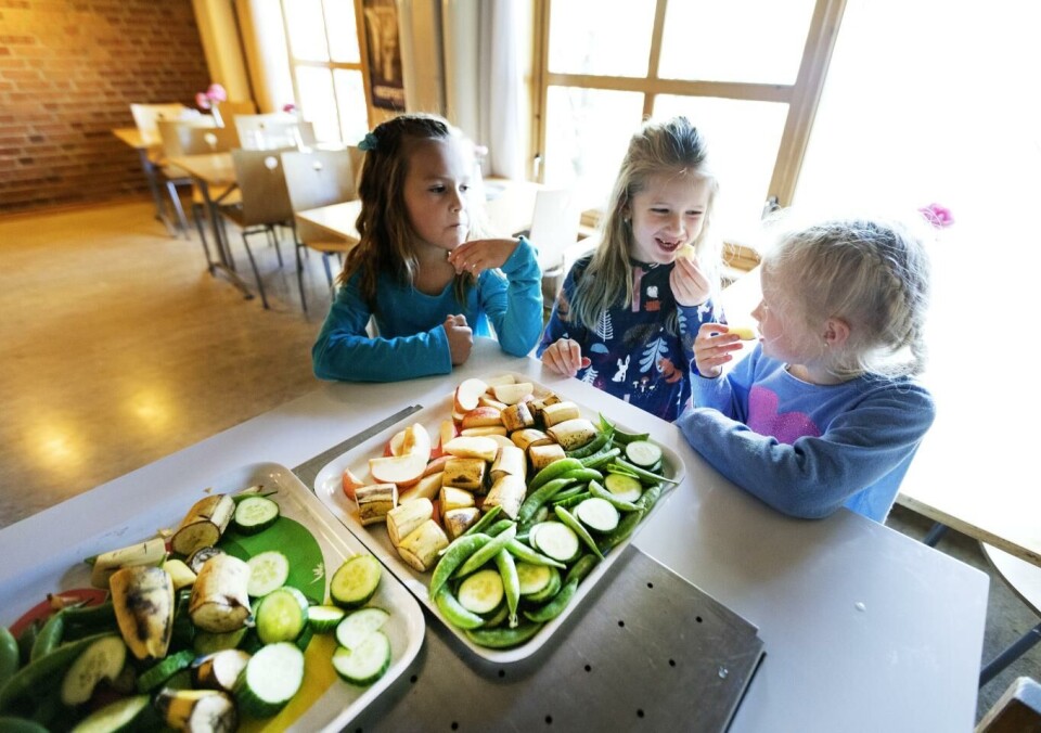 FHI har undersøkt om gratis frukt fører til bedre læring og landet på at de ikke kan bekrefte den påstanden. Foto: Gorm Kallestad, NTB