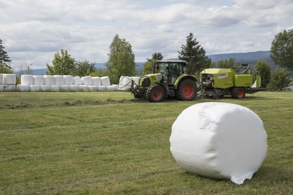 Nær 5.500 bønder fikk i fjor utbetalt over 1 million kroner i produksjons- og avløsertilskudd, viser nye tall fra Landbruksdirektoratet. Foto: Terje Bendiksby | NTB
