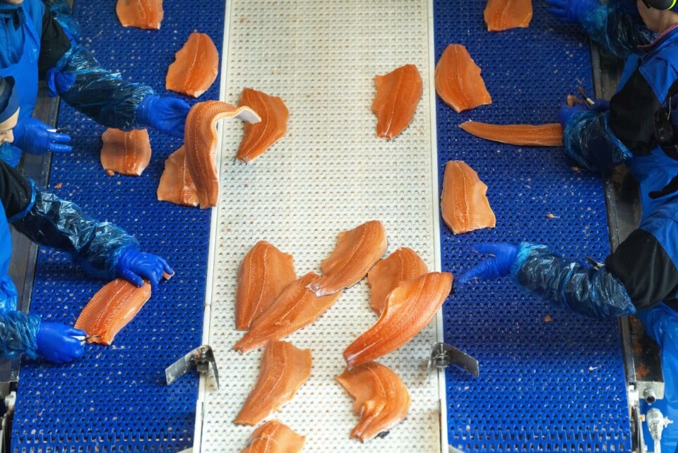 Fallet i sjømateksporten var størst i mars da den falt med 14 prosent fra i fjor. Foto: Gorm Kallestad, NTB