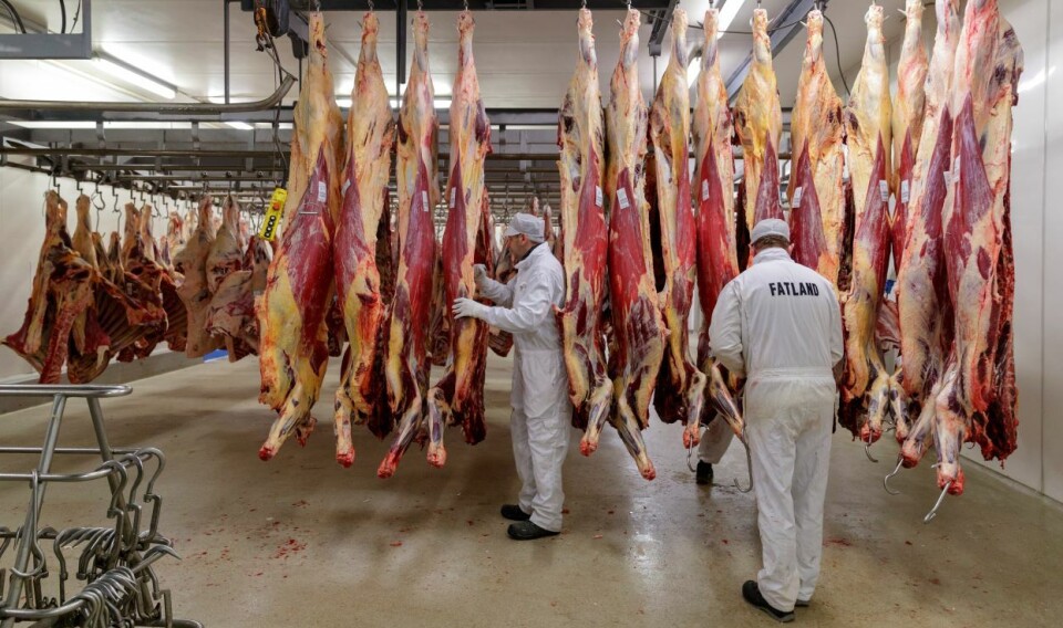Uten nye verktøy som regulerer produksjonen, blir det ikke noe inntektsopptrapping for bøndene, frykter Norsk Bomde- og Småbrukarlag. Foto: Cornelius Poppe | NTB