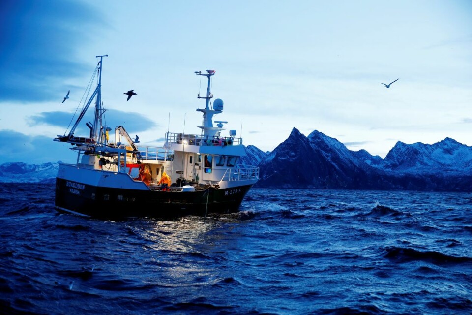 Pengene deles ut etter at regjeringen i fjor høst etterlyste prosjekter som søkte støtte til likestillingsarbeidet i fiskerinæringen. Foto: Cornelius Poppe | NTB