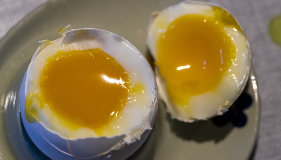 Midlertidig import av utenlandske egg skal avhjelpe forsyningskrisen i Norge.