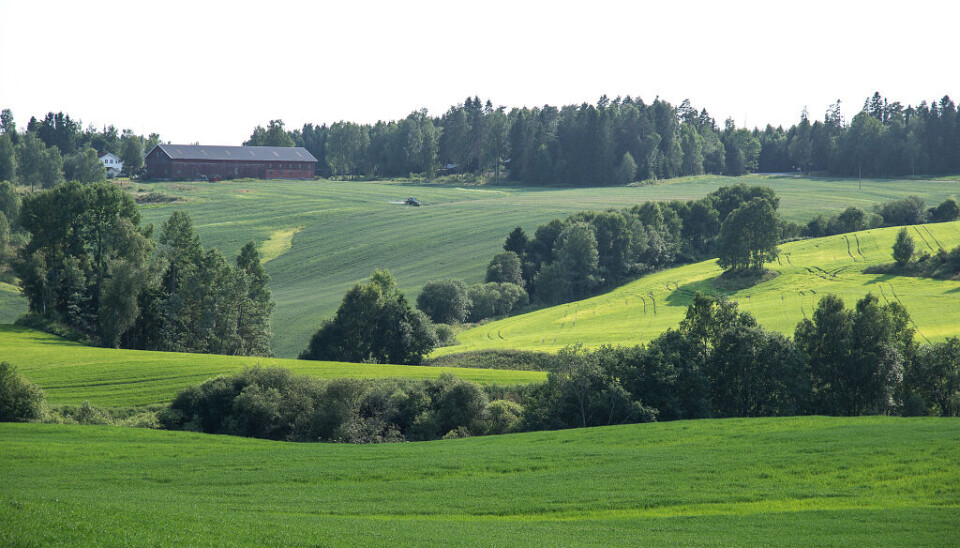 Kampen om den dyrkede og dyrkbare jorda skjer daglig når industri, boliger, samferdsel og annen infrastruktur trenger nye arealer. Jordvern blir derfor stadig viktigere. Her et glimt fra jordbrukslandskap Kroerdalen.