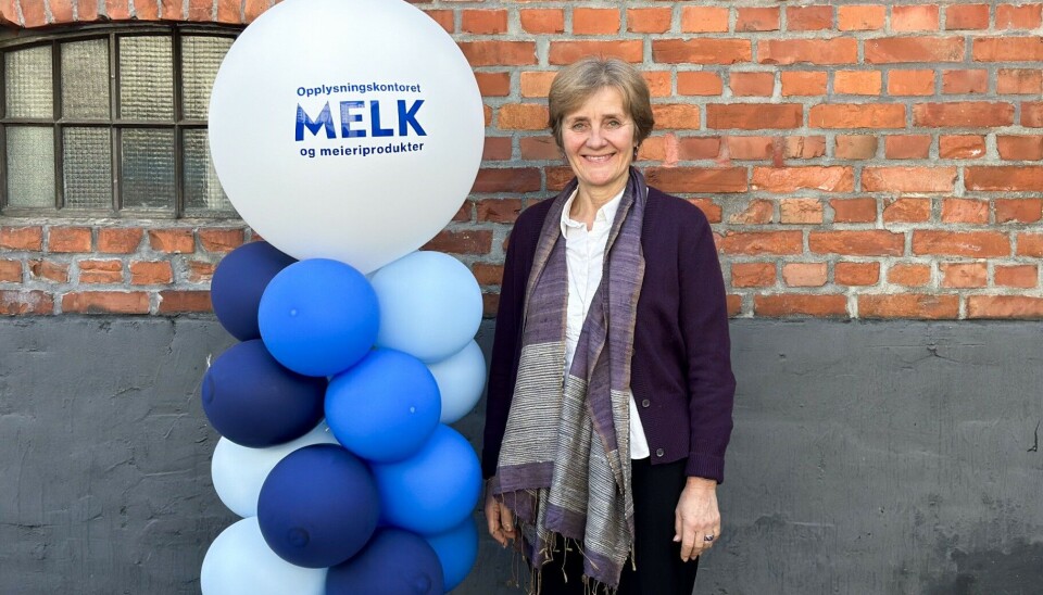 Ida Berg Hauge, direktør for Opplysningskontoret for melk og meieriprodukter, presenterer kontorets nye navn og logo.