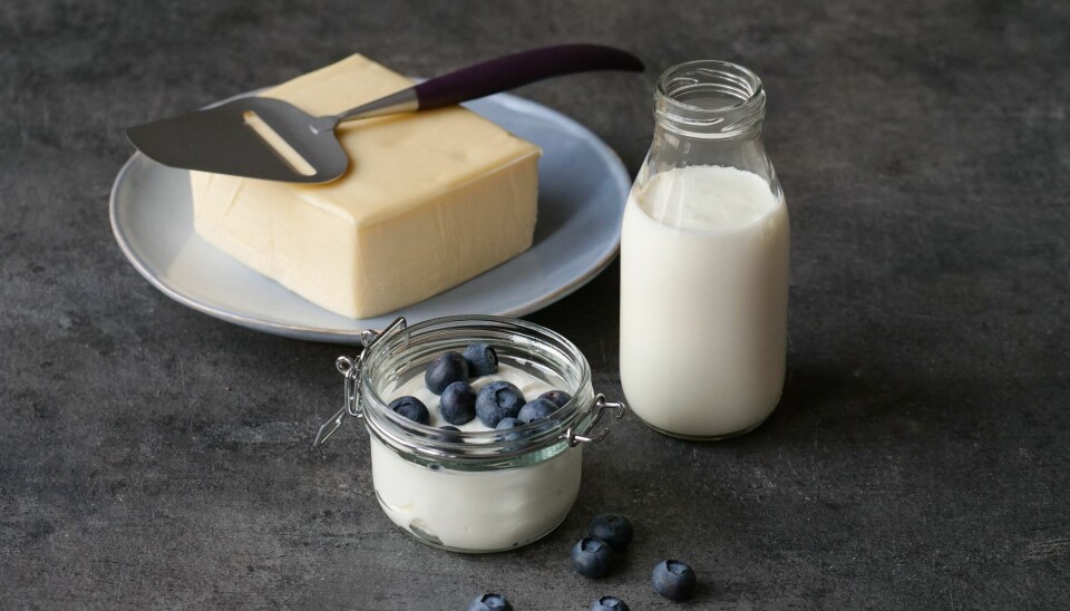 Det har vært et godt kvartal for meierikategorien.