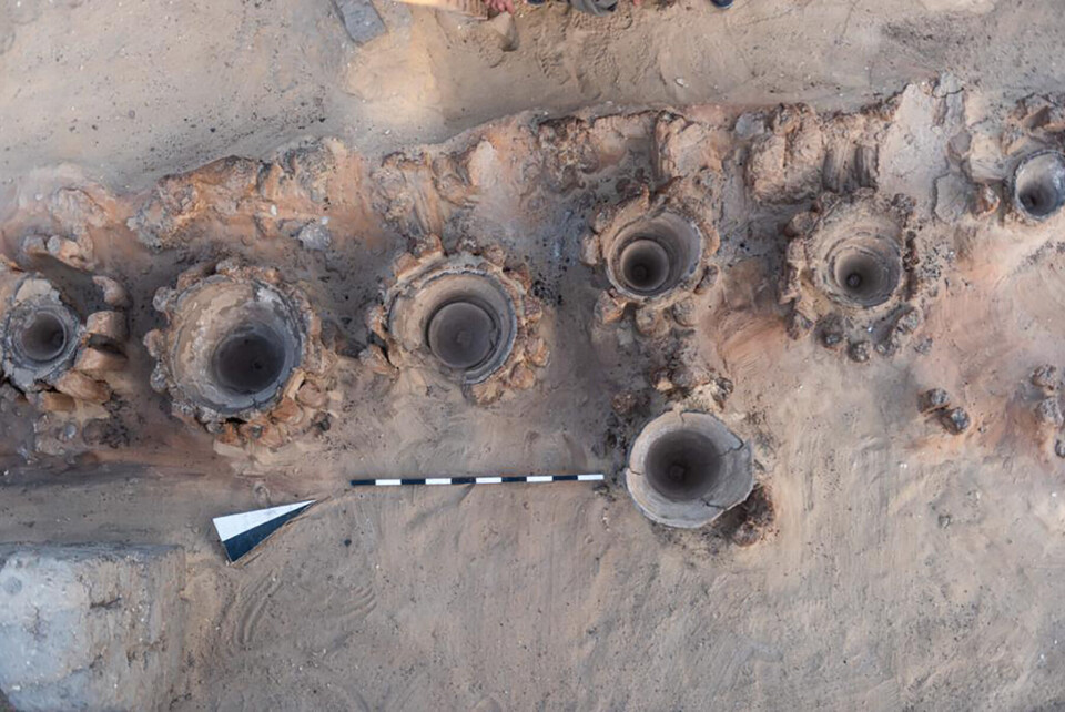 Arkeologer har gravd fram et over 5.000 år gammelt ølbryggeri i Egypt. Her ble korn og vann varmet opp i store leirpotter. Foto: AP, NTB
