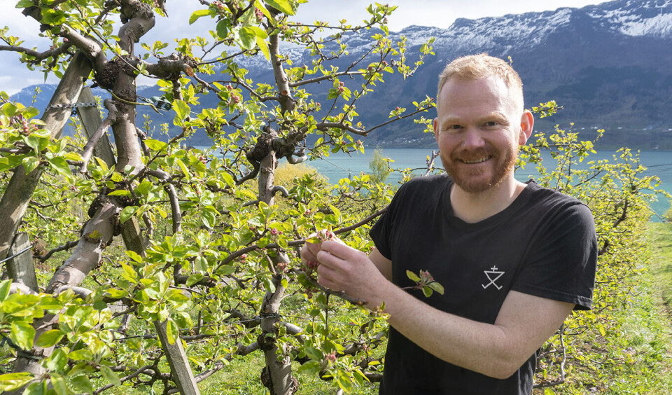 Spydspissen i siderriket