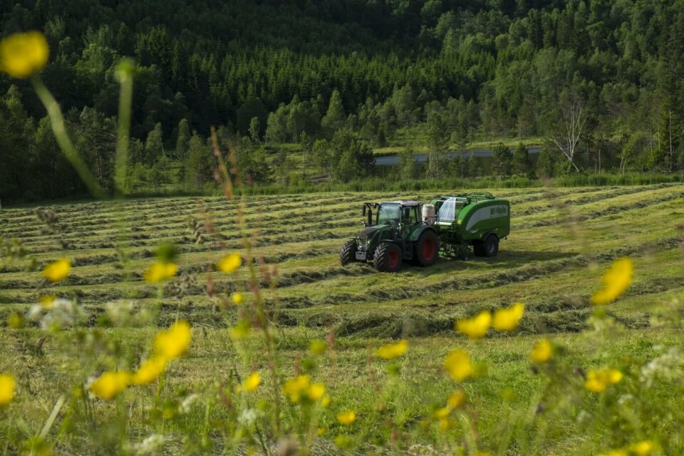 Illustrasjonsfoto: Vidar Ruud, NTB