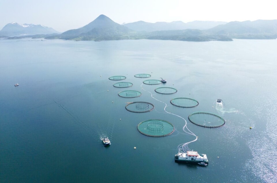Laksegiganten Mowi dropper investeringer i Norge for fem milliarder kroner etter lakseskatt-kompromisset på Stortinget. Foto: Gorm Kallestad, NTB