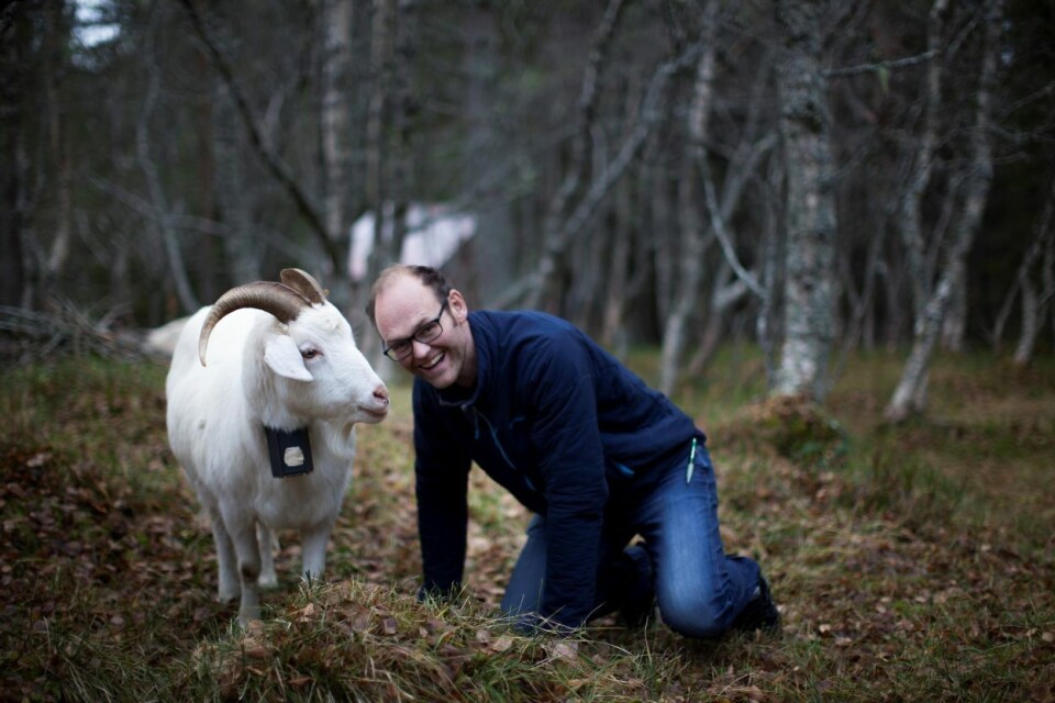Oscar Hovde Berntsen fra Batnfjordsøra er mannen som hadde ideen, laget prototypen og grunnla Nofence.