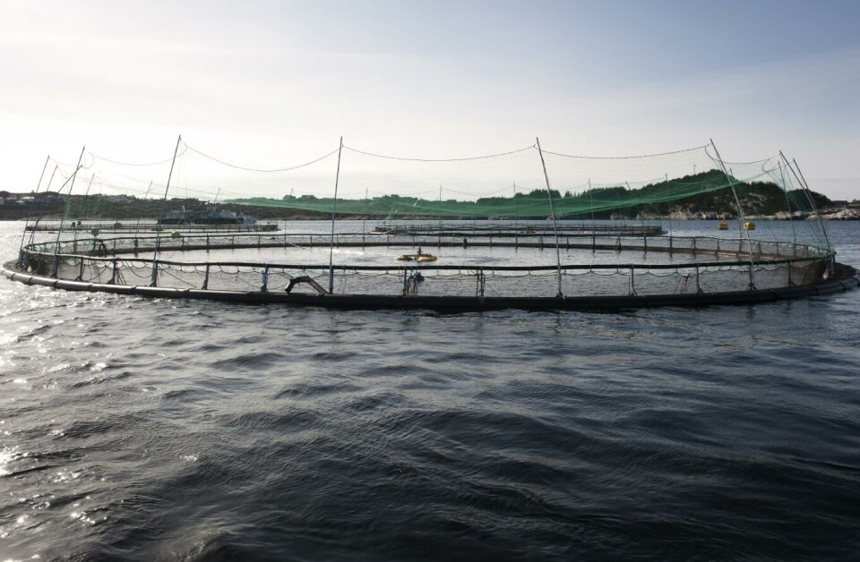 Et matfiskanlegg i Øygarden. Arkivfoto: Marit Hommedal, NTB scanpix
