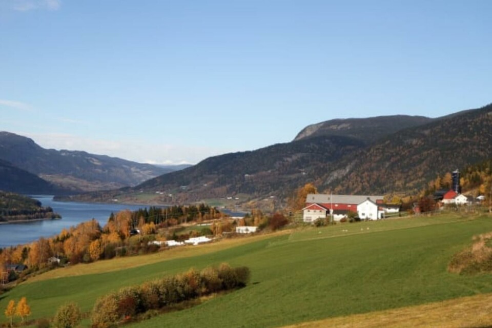 Søknadsfristen om støtte fra bærekraftfondet til Norges Bondelag og Gjensidige er for kollektive tiltak 1.oktober, mens individuelle søknader behandles forløpende. Foto: Jørgen Skaug
