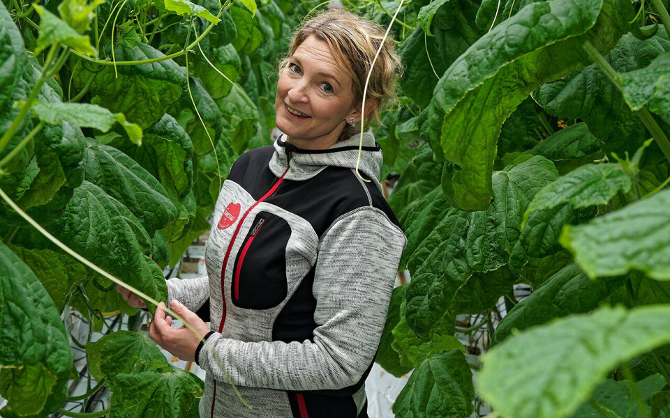 Anette Skarstad i Skarstad Gartneri & Gårdsmarked kombinerer veksthus og frilandsdyrking.