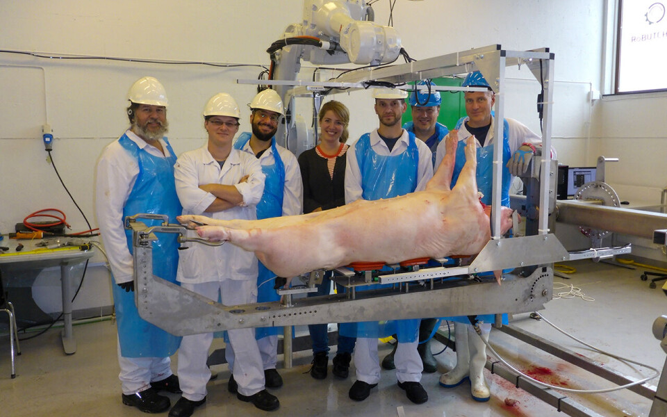 Foto Her er deler av teamet som er involvert i prosjekter RoButcher i Norge: Fra venstre forsker Luis Eduardo Cordova-Lopez (NMBU), professor og prosjektleder Alex Mason (NMBU), doktorgradsstipendiat Ian Esper (NMBU), prosjektleder i Animalia, Helle Røer, Jonathan Aspinall (NMBU), fagdirektør for forskning og innovasjon, Ole Alvseike i Animalia AS og fagkonsulent for kjøttskjæring i Animalia, Per Håkon Bjørnstad. Foto: Alex Mason | NMBU