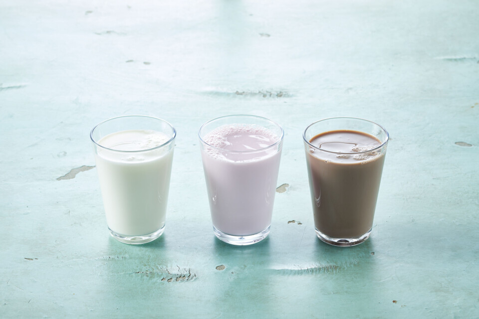 Salget av melk med smak alene gikk opp 11,6 prosent første halvår i 2021 sammenlignet med første halvår i fjor. Foto: Opplysningskontoret for Meieriprodukter