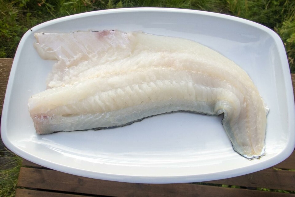 Å spise mer mager fisk som torsk, minsker risikoen for å utvikle diabetes type 2, ifølge nye studier. Illustrasjonsfoto: Gorm Kallestad, NTB