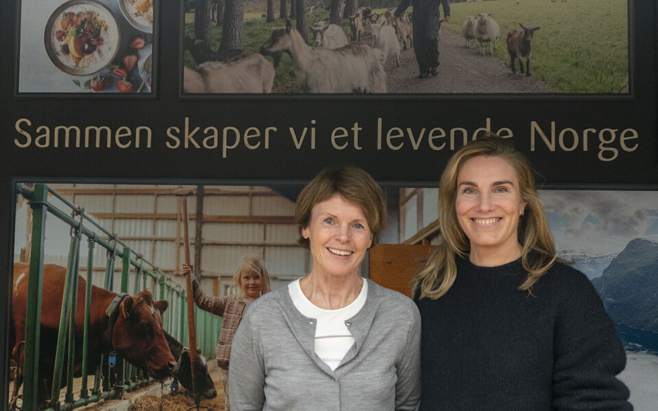 Forretningssjef Hege Homlong (til venstre) i Tine forbruker og digitale tjenester og konserndirektør for langsiktig innovasjon og digitalisering, Elisabeth Tapper. Tines visjon henger på veggen.
