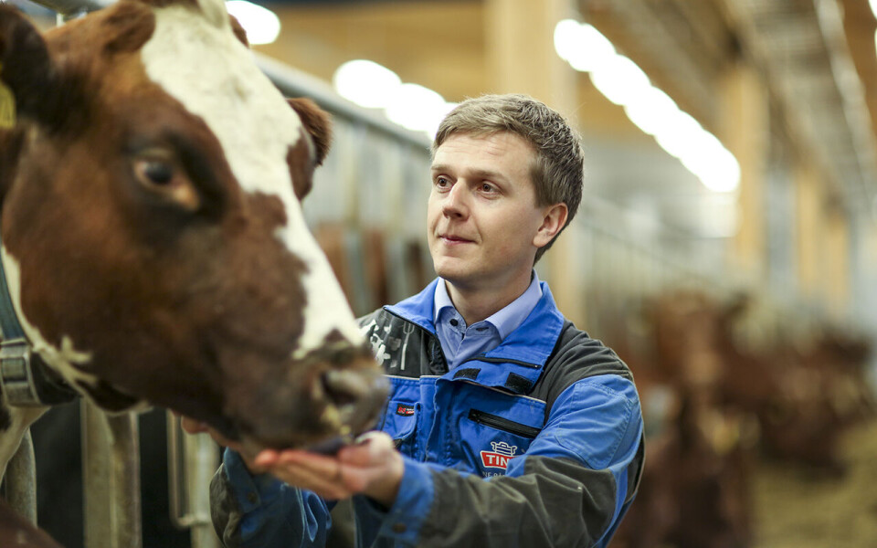 Organisasjonssjef Gunnar Dalen i Tine kan mye om dyrevelferd og dyrehelse.