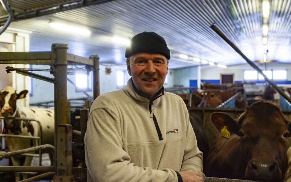 I midten av juni er Lars Petter Bartnes tilbake som heltidsbonde på Ner-Bartnes gård i Steinkjer kommune.