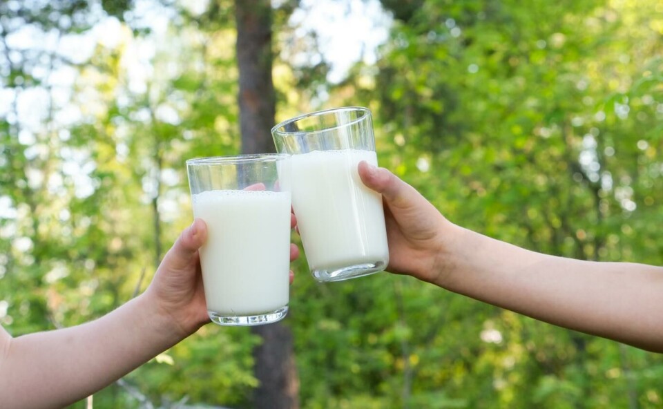 Verdens melkedag: Hva ville du savne om melk forsvant?