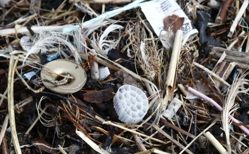 Mer resirkulering: Plast, mikroplast og mye skrot i strandkanten på Bygdøy i Oslo. Illustrasjonsfoto: Terje Pedersen / NTB