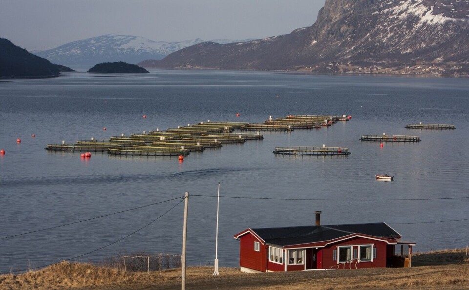 Høyres landsmøte sa i helga nei til den foreslåtte lakseskatten og foreslår å utrede en produksjonsavgift for oppdrettsnæringen. Foto: Jan-Morten Bjørnbakk | NTB