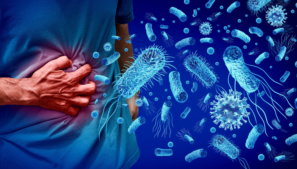 Det er en økning i antall personer som er smittet med mage-tarmbakterien Salmonella Typhimurium de siste månedene Det er en økning i antall personer som er smittet med mage-tarmbakterien Salmonella Typhimurium de siste månedene