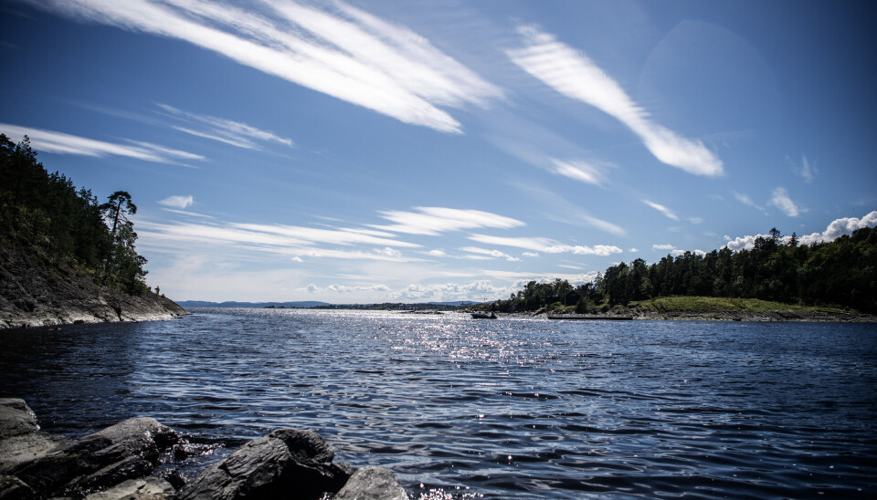 På 1980-tallet var Oslofjorden en av landets mest fiskerike fjorder. I dag er den vakre fjorden nesten død under havoverflaten.
