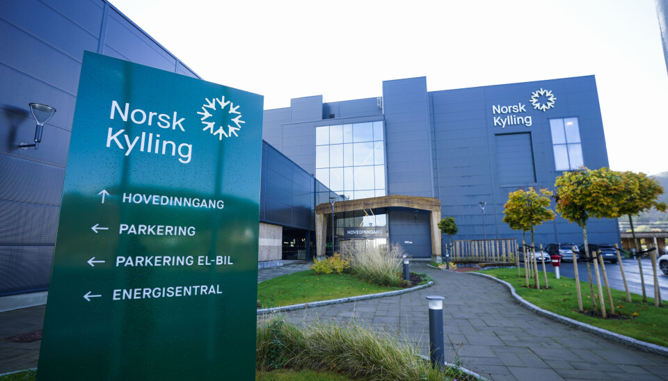 Reitan-leverandør Norsk Kylling har i nesten to år jobbet med Islamsk Råd Norge for å bli sertifisert som halal-produsent av kylling. Reitan-leverandør Norsk Kylling har i nesten to år jobbet med Islamsk Råd Norge for å bli sertifisert som halal-produsent av kylling.