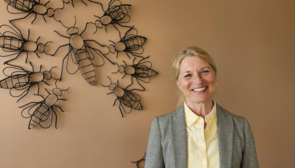 Slik ser hun ut, den nyansatte generalsekretær i Norges Birøkterlag. Norges Birøkterlag har ansatt Katrine Røed Meberg som generalsekretær.